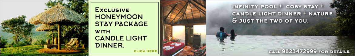 Wildernest Stay and Candle Light Dinner Package