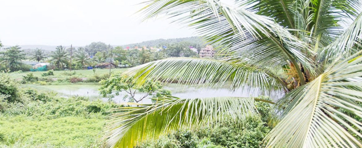 Xorooms:  2 Bedroom Luxury Villa In Calangute Goa