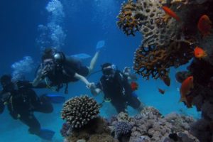 scuba diving Special honeymoon activities in Goa